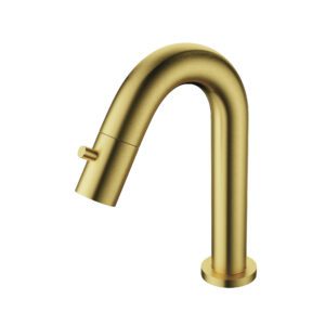 Product Aloni -Koudwaterkraan – Geborsteld Goud 1/2